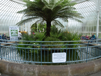 Photo Album of Glasgow Botanic Gardens